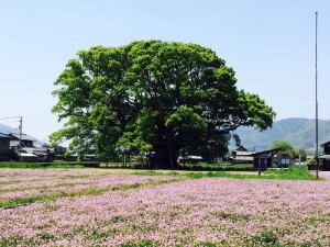 FullSizeRender (2)00